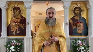 Гадаринский бесноватый: почему люди прогнали Христа, когда Он совершил чудо? Отец Игорь Бачинин