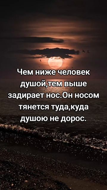 Омар Хайям