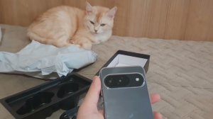 DOOGEE  B10 Телефон  с защитой IP68-69 за 10 тысяч!!!