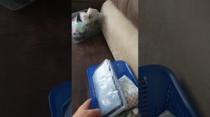 сквиши 1 часть