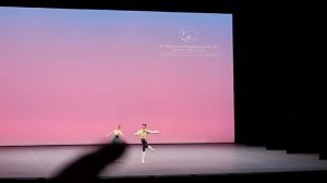 А. Дмитриев. Фестиваль цветов в Дженцано