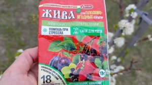 Подкормка сливы во время цветения 🌸