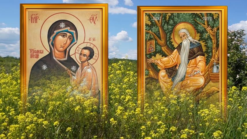9 июля день Давида. Земляника в этот день волшебница. смотреть онлайн