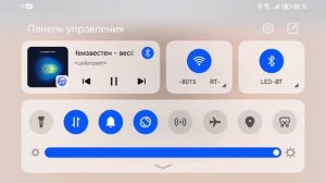 Лунатик сиренаголовый!