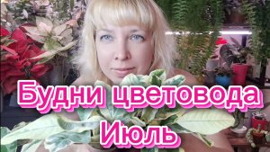 Будни цветовода. ИЮЛЬ