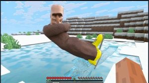 САМАЯ РЕАЛИСТИЧНАЯ ФИЗИКА НА ЖИТЕЛЯ В МАЙНКРАФТЕ Minecraft