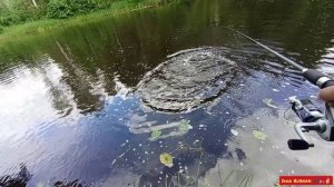 Обидный сход🐊🤦♂️
Обрыв приманки🎣🤷
