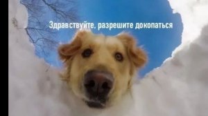 Моя история дня