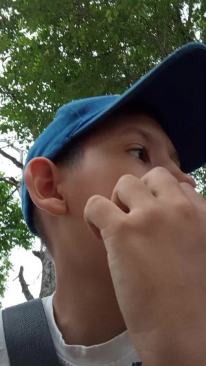 жж