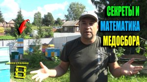 СЕКРЕТЫ ГЛАВНОГО ВЗЯТКА И МАТЕМАТИКА МЕДОСБОРА. ПЧЕЛОВОДСТВО 26-16