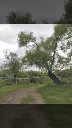 🇦🇲A❤️R💙M🧡E📖N✝️I🗻A🤝https://www.tiktok.com/@iarmen1308?_r=1