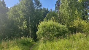Наш день! Поездка в сад на электричке.