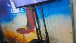Интересно провели выходной день