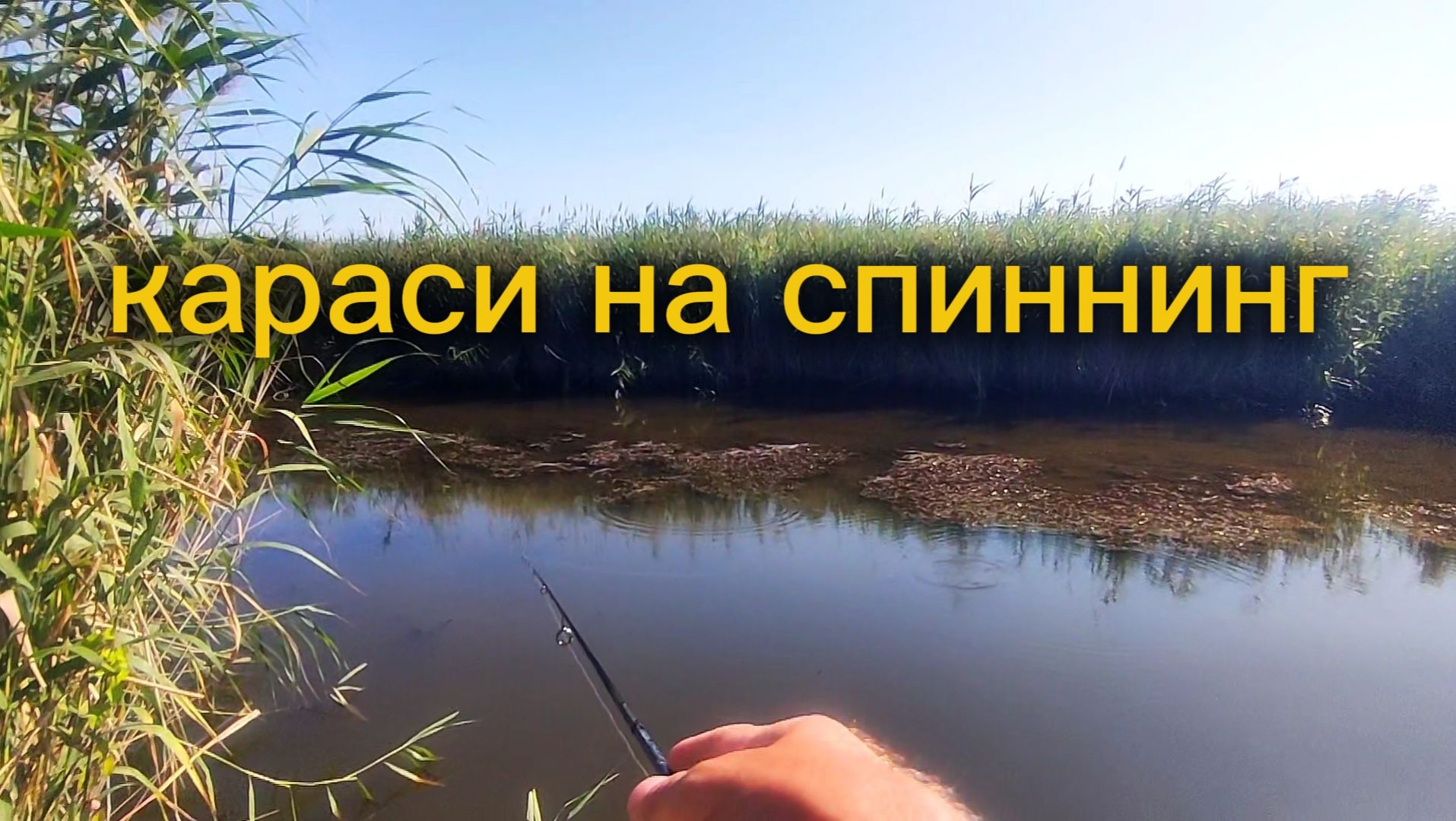 Мормышинг.Караси.Maximus legend mormo смотреть онлайн
