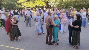 Любовь уставших лебедей ....... 04.07.26 Гомель парк Луначарского 🥰💫