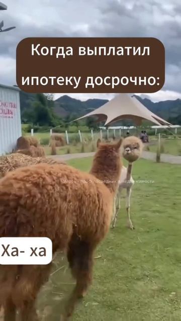 Когда ипотеку погасил полностью)