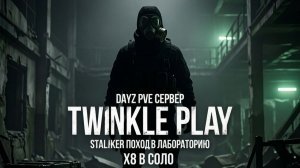 DAYZ | Twinkle Play PVE | Stalker#2 | Лаба х8 Часть 2