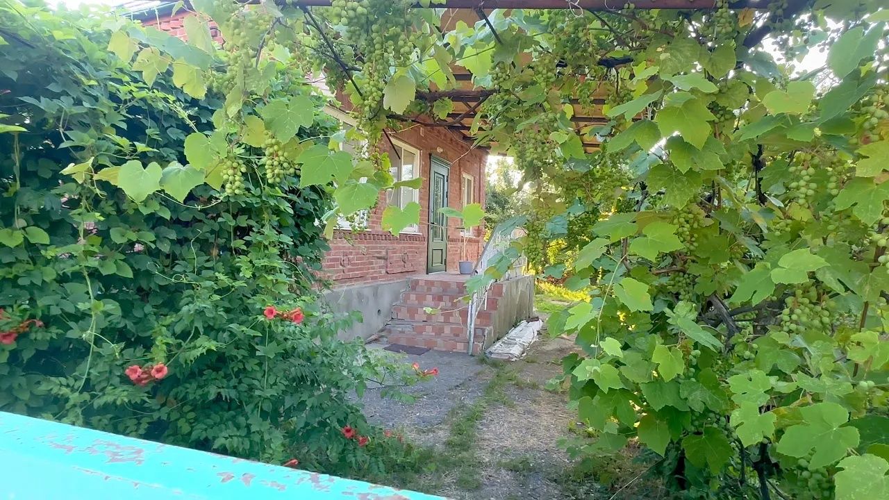 Жизнь вне орхидей. дом на Юге в сказочных зарослях ⧸⧸ СОБРАЛИСЬ с Масей в долгое ПЕКЛО смотреть онлайн