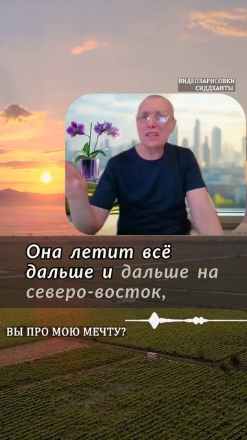 Вы про мою мечту? Предание сердца. Аудиокниги Сиддханты (Вячеслава Чернина)