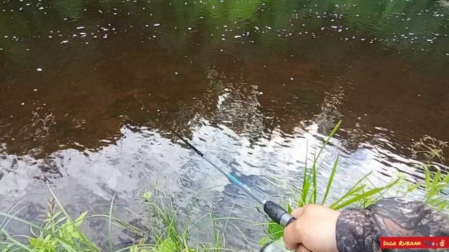 Друзья✌🏻✌🏻✌🏻 Попробовал сделать небольшой 🎥отчётик с крайней рыбалочки🎣👌🙂