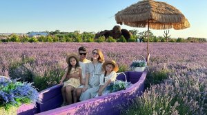 От стройки до Лавандового поля, как прошла наша неделя в деревне
