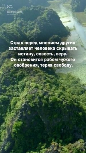 📖 ПРИТЧИ 29:25.
