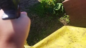 VID_20260703_153311.mp4