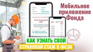 Узнать свой страховой стаж в приложении ФСЗН. Инструкция для физлиц в Беларуси