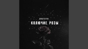 Колючие розы