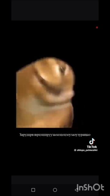 ШЛËПА 676767