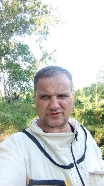5 июля 2026 года пасека на взятке в лесу