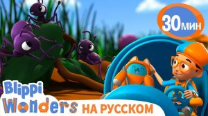 Мультики про Насекомых Сборник _ Обучающие видео для детей _ Blippi Russian