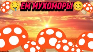 🍄🤤ЕМ МУХОМОРЫ😊🍄