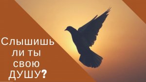 Слышишь ли ты самого себя? И почему это очень важно?
