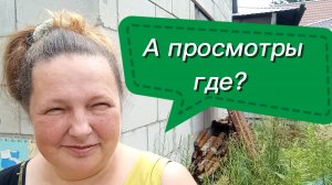 Давайте поговорим о просмотрах и подписчиках.