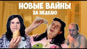 НОВЫЕ ВАЙНЫ ЗА НЕДЕЛЮ (#gan_13_)