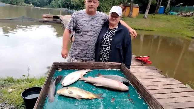 04.07.26 г. РК Волна. смотреть онлайн