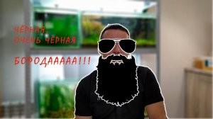 Борода и аквариум! Как не допустить появления в аквариуме водорослей!
