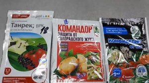 2551.  Гусеницы,слизни на капусте- еще чего не хватало!