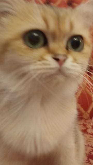 !!!