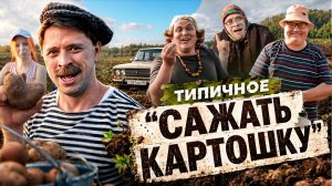 ТИПИЧНАЯ КАРТОШКА