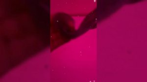 2026_07_04_04_25_41_IMG_0146