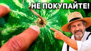Как ТОЧНО Выбрать СЛАДКИЙ и СПЕЛЫЙ Арбуз: 7 признаков, Которые Не Подведут... Советы Амишей