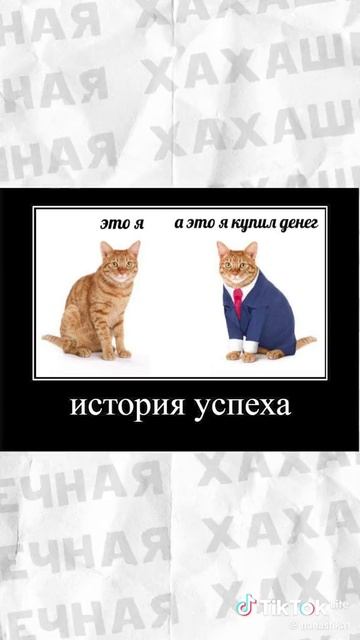 мемы смотреть онлайн