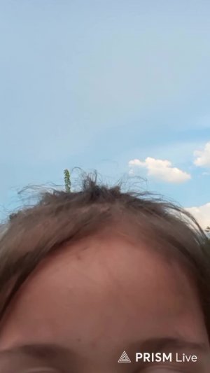 Гуляем