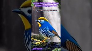 1000029822.mp4