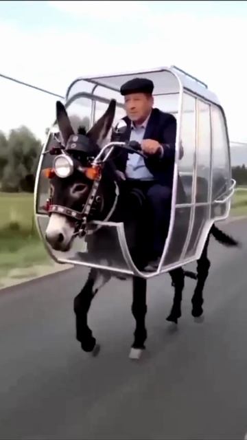 Мото осел на трассе