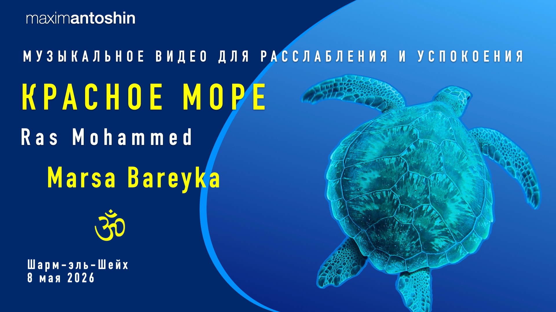 Дайвинг и сноркелинг