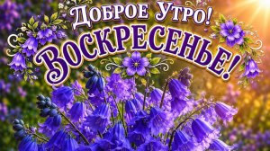 С добрым летним утром воскресенья. Красивая музыкальная открытка.