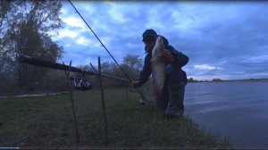 Не могу его удержать! Рыбалка на сома ночью.